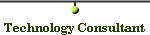  Technology Consultant 